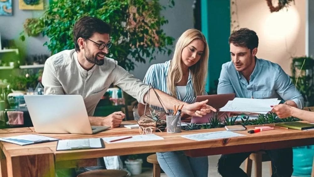 business team evaluating PPC reporting